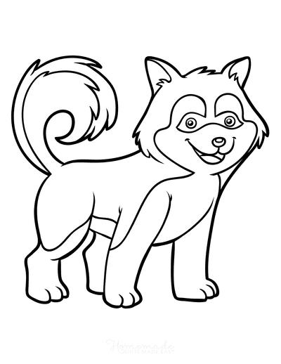 Dog Coloring Pages Husky Outline