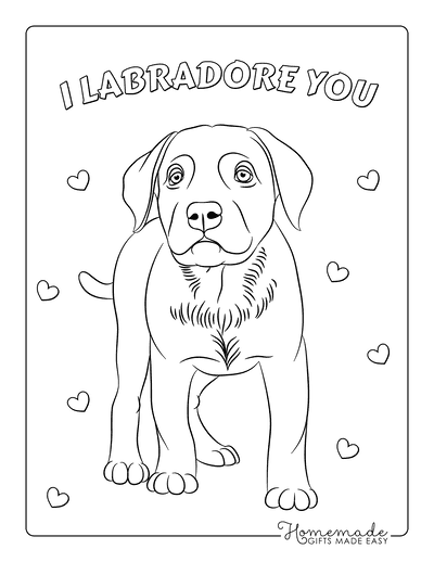 coloring pages of labrador retrievers