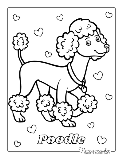 Dog Coloring Pages Poodle Outline
