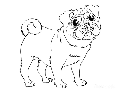 Dog Coloring Pages Pug Outline