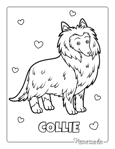 Dog Coloring Pages Rough Collie Outline