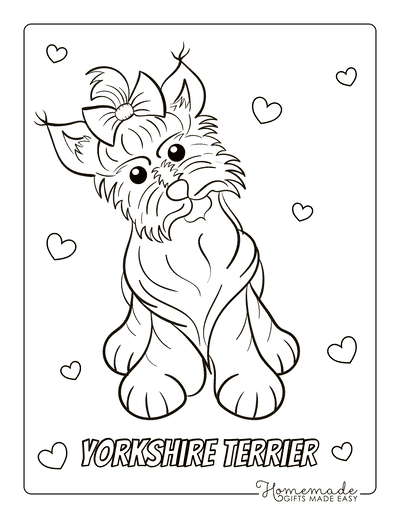 Dog Coloring Pages Yorkshire Terrier Cute With Bow