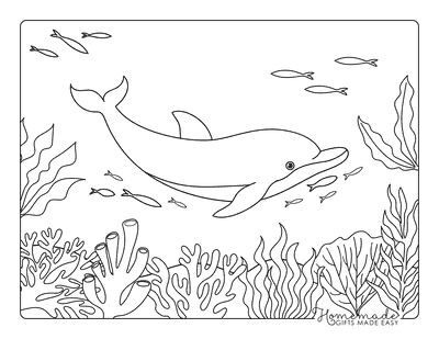 Dolphin Coloring Pages Simple Underwater Dolphin Scene