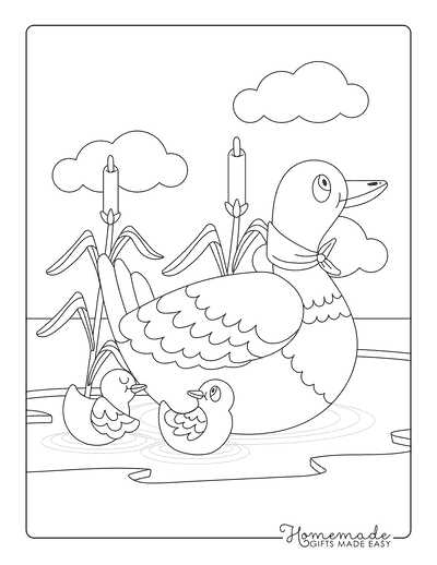 Duck Coloring Pages Cute Duck Family and Ducklings for Kids
