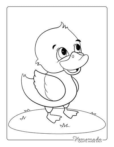 Duck Coloring Pages Easy Adorable Cute Baby Duck to Color