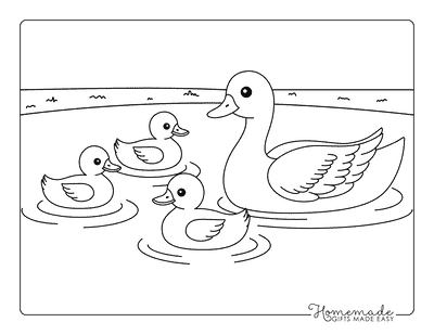 Duck Coloring Pages Easy Cute Duck Family With Baby Ducks
