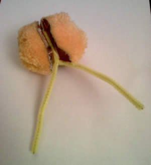easter craft ideas - pom pom chick step 3