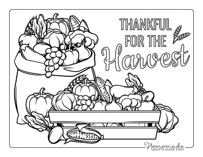 Fall Coloring Pages Autumn Harvest Crate of Food