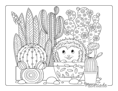 Fall Coloring Pages Cute Hedgehog With Patterned Cactus Fall Coloring Pages Cute Hedgehog With Patterned Cactus