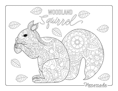 Forest Animals Coloring Book for Kids Adults Coloring Book Gift