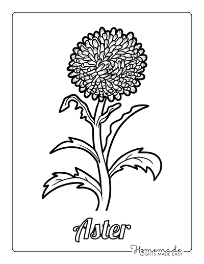 Flower Coloring Pages Botanical Aster