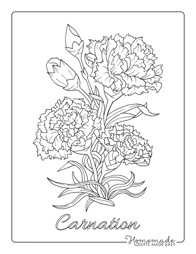 carnations coloring page