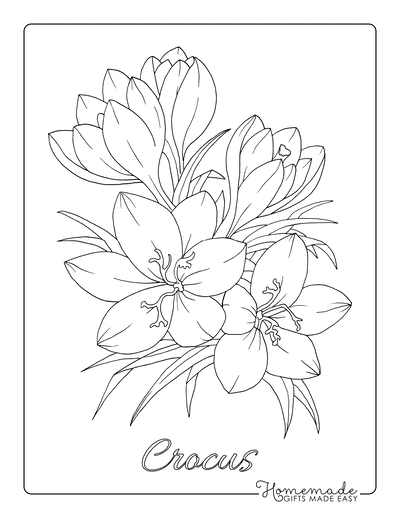 Free Flower Coloring Pages For Kids