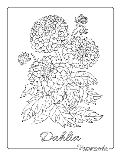 Adult Color By Number Large Print Designs by Lilt Kids Coloring Books