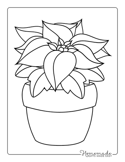 Flower Coloring Pages Christmas Poinsettia