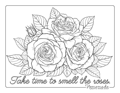 Adult Coloring Book Roses: Advanced Realistic Rose Coloring Book for Adults [Book]