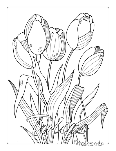 floral coloring book pages