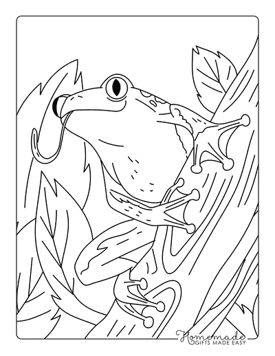 Frog Coloring Pages Cool Hand Drawn Tree Frog on Branch Frog Coloring Pages Cool Hand Drawn Tree Frog on Branch
