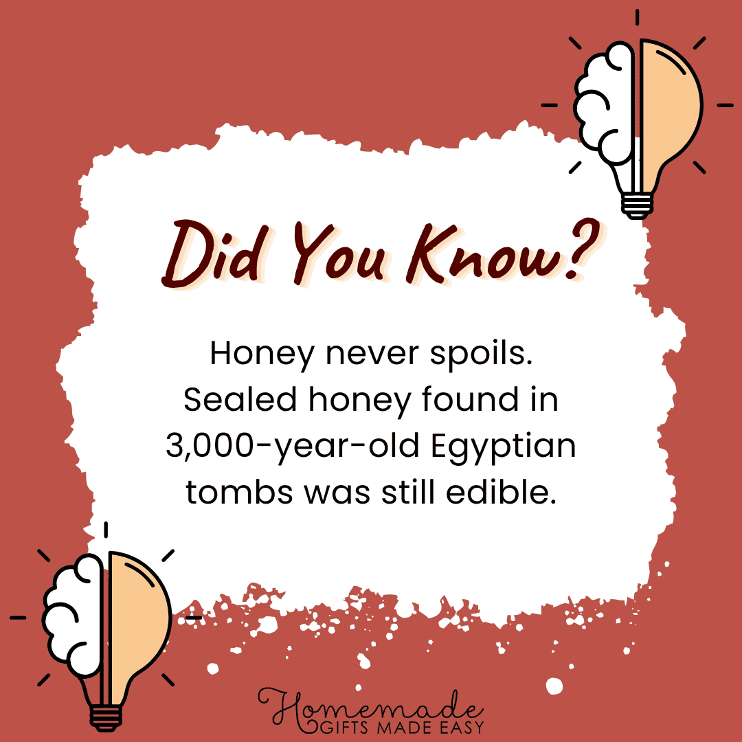 Fun Facts - Honey never spoils.