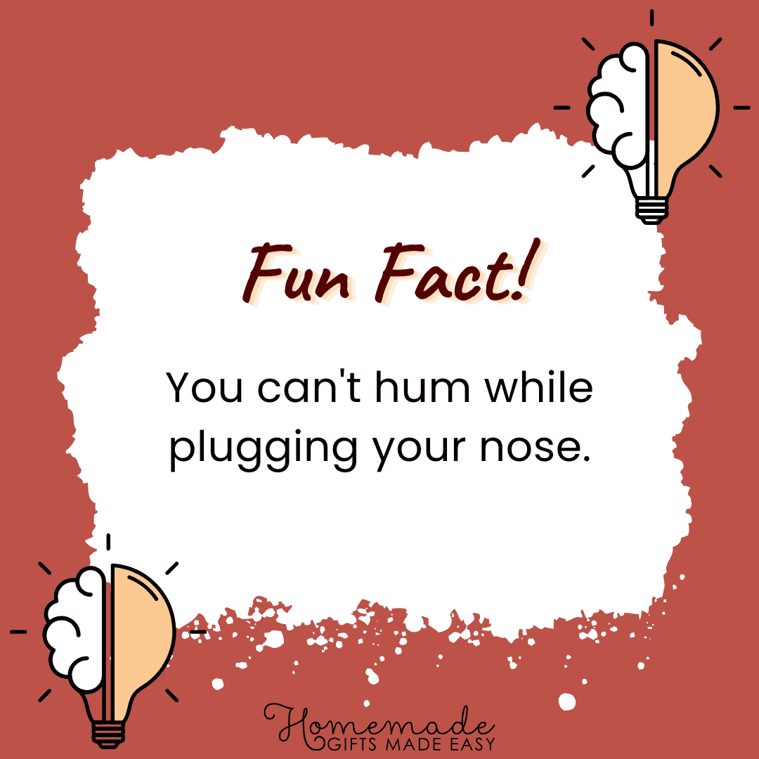 Fun Facts - You can't hum while plugging your nose.