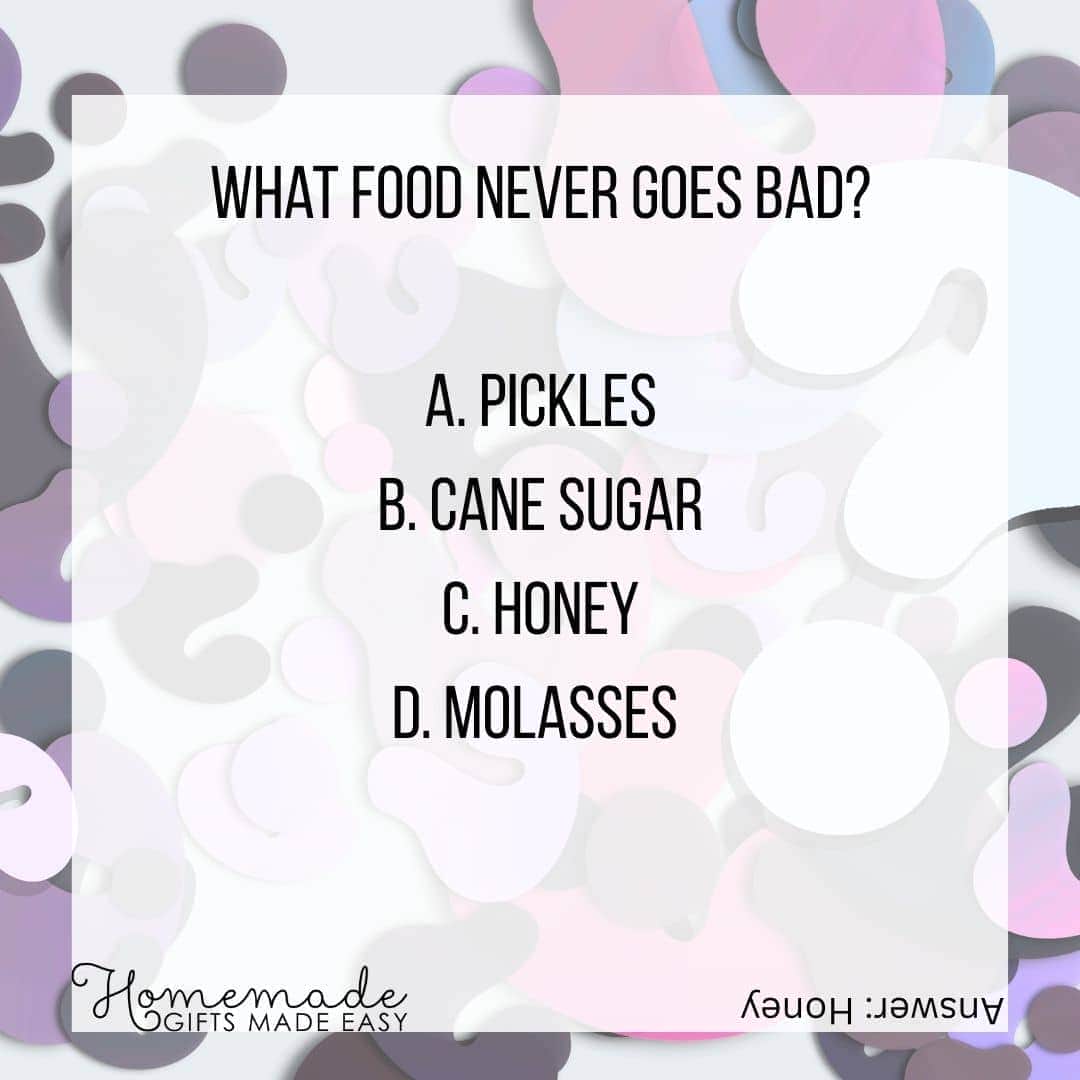 fun multiple choice questions