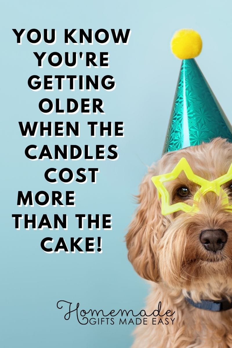 funny birthday wishes dog