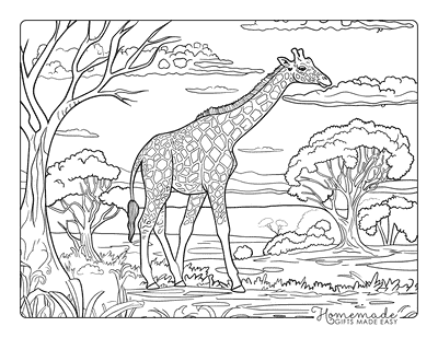 Giraffe Coloring Pages Realistic Giraffe in Savannah