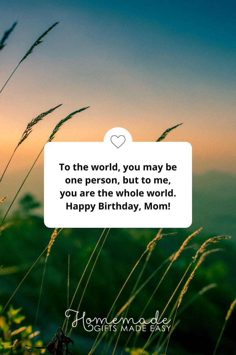 happy birthday mom to me you are the whole world