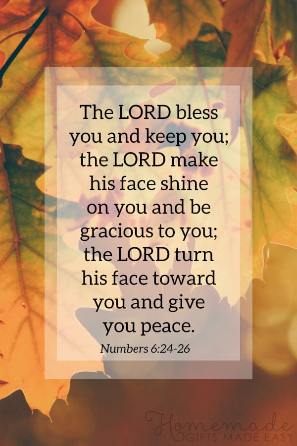 happy thanksgiving image numbers 6 24 26