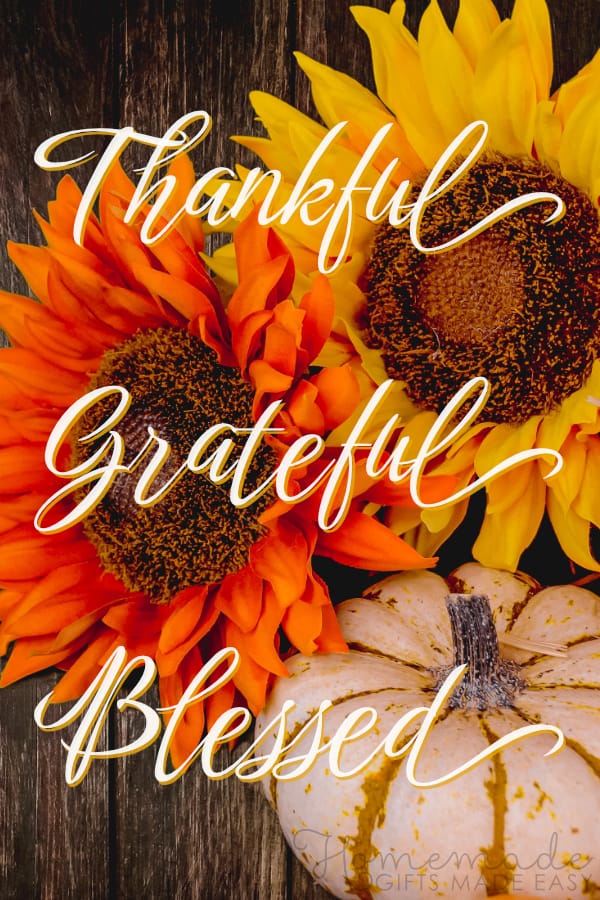 happy thanksgiving image thankful grateful blessed