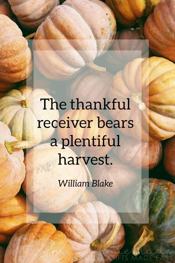 happy thanksgiving image thankful harvest blake