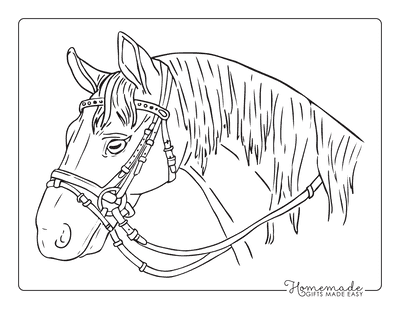 Horse Coloring Pages Head Wearing Bridle