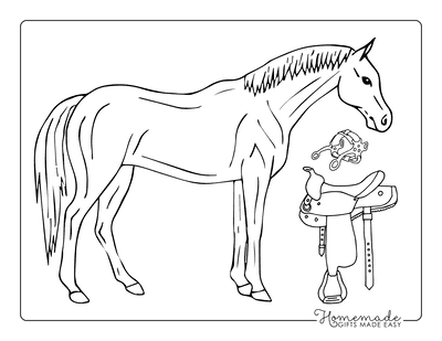 Horse Coloring Pages Horse Saddle Halter