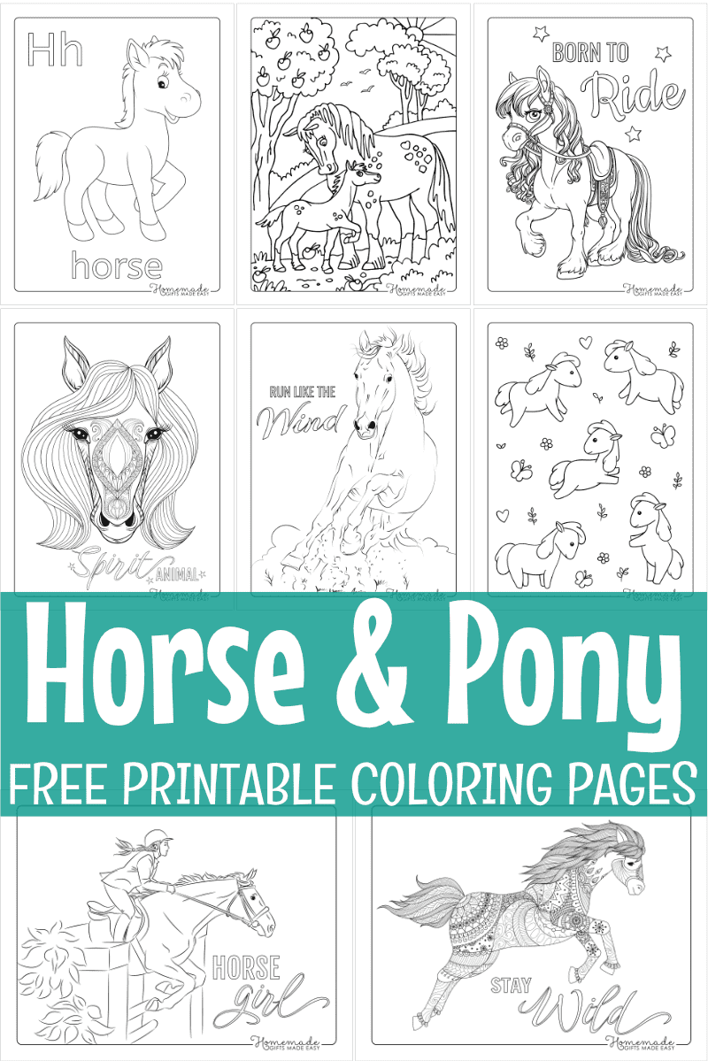 Horses & Ponies Coloring Book For Kids: Childrens Coloring Activity Sheets  With Designs Of Horses, Illustrations To Trace And Color (Paperback)