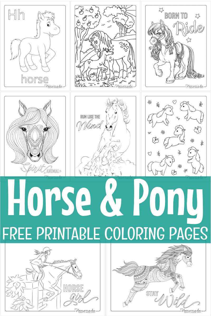 Horse Coloring Book for Girls Ages 8-12: Coloring Pages for Kids