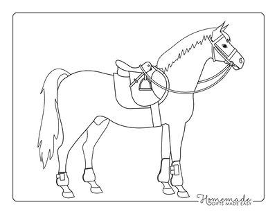 15 Horse Drawings For Kids, Teach You How To Draw A Horse? - DIY