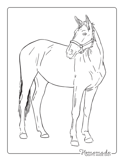 best horse coloring pages for kids adults free printables