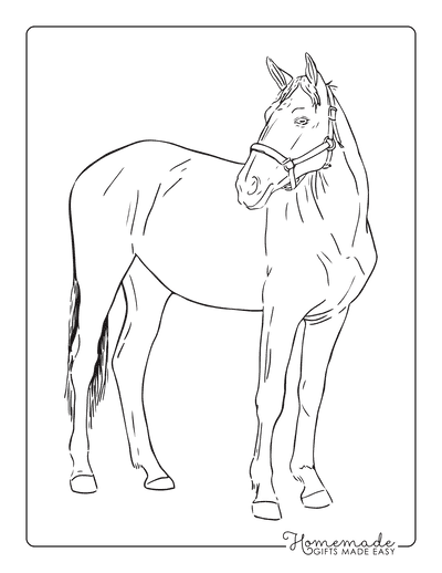 Horse Coloring Pages Sketch Simple Outline