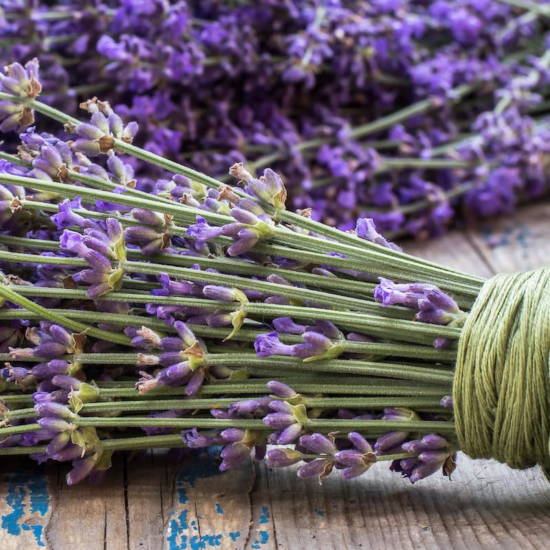 lavender crafts drying lavender
