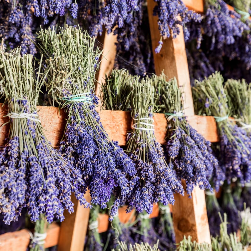 lavender crafts drying lavender