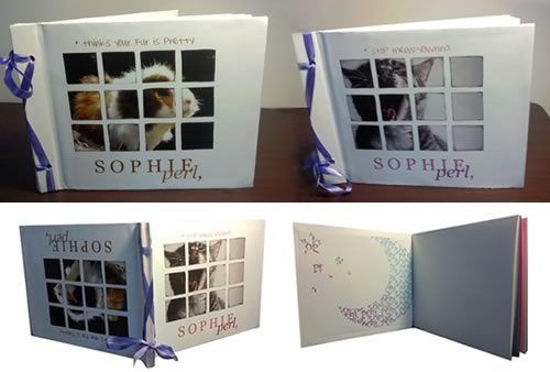 leanna's homemade book pics