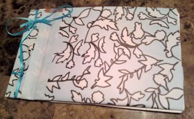 molly's homemade book pics