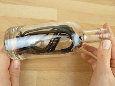 how to make vanilla extract - bottle with beans