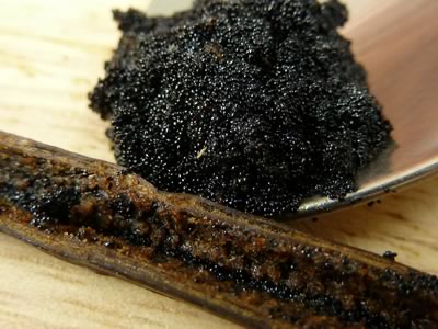 how to make vanilla extract - caviar closeup