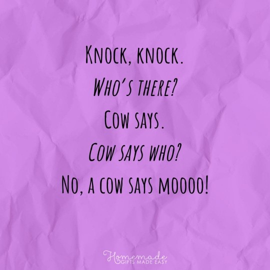 Knock-Knock Jokes No, a cow says mooooo