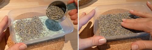 lavender soap recipe
