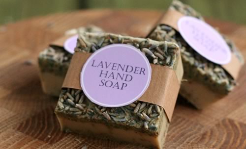 Download Lavender Soap Recipe