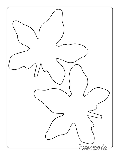 Leaf Template Star Shaped Medium