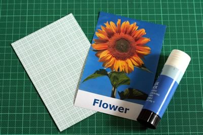 make flash cards baby toddler