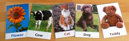 make flash cards baby toddler